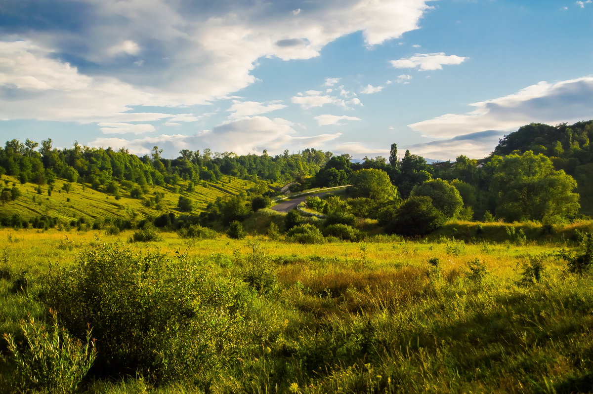 Природа белгородчины картинки