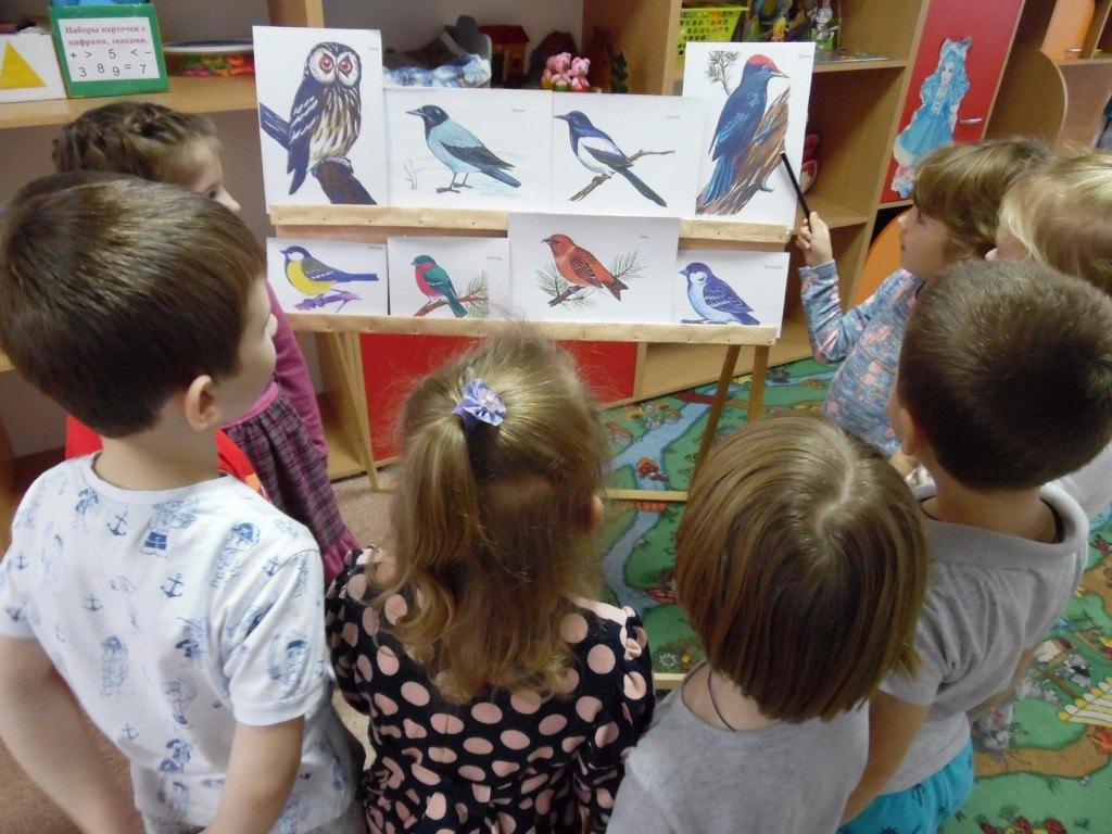 Рассматривание и беседа. Рассматривание иллюстраций в старшей группе. Дети рассматривают иллюстрации. Беседа в старшей группе. Воспитатель и дети беседа о птицах.