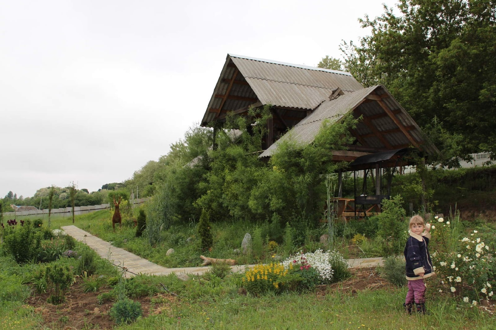 Лоза белгород. Хутор роговой Белгородская область. Разнузданные лозы.