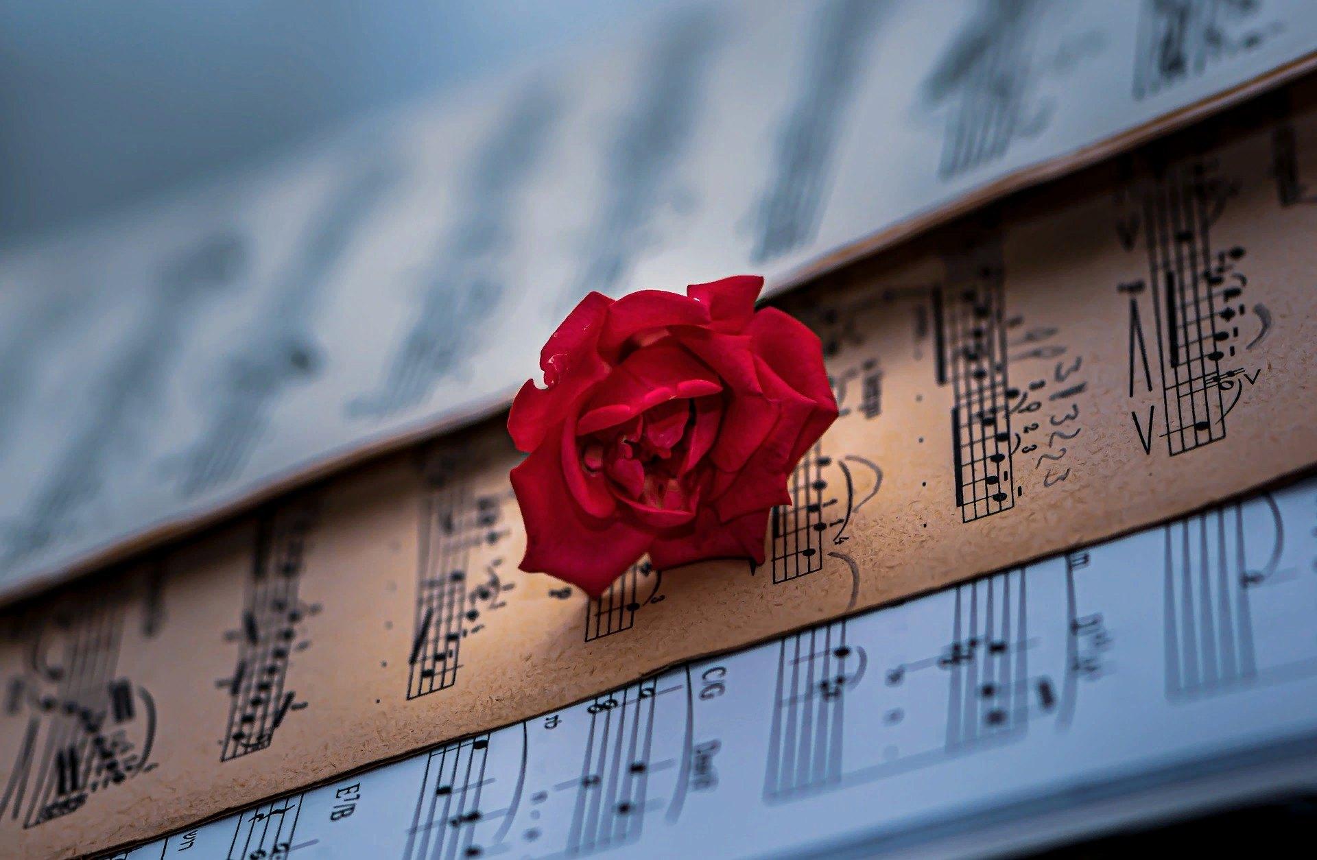 Самые мелодичные песни. Ноты и цветы. Розы и Ноты. Ноты в цветах. Цветы и Ноты картинки.