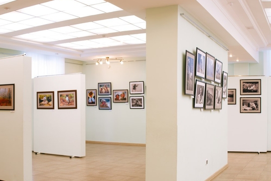 Выставки в Собровина