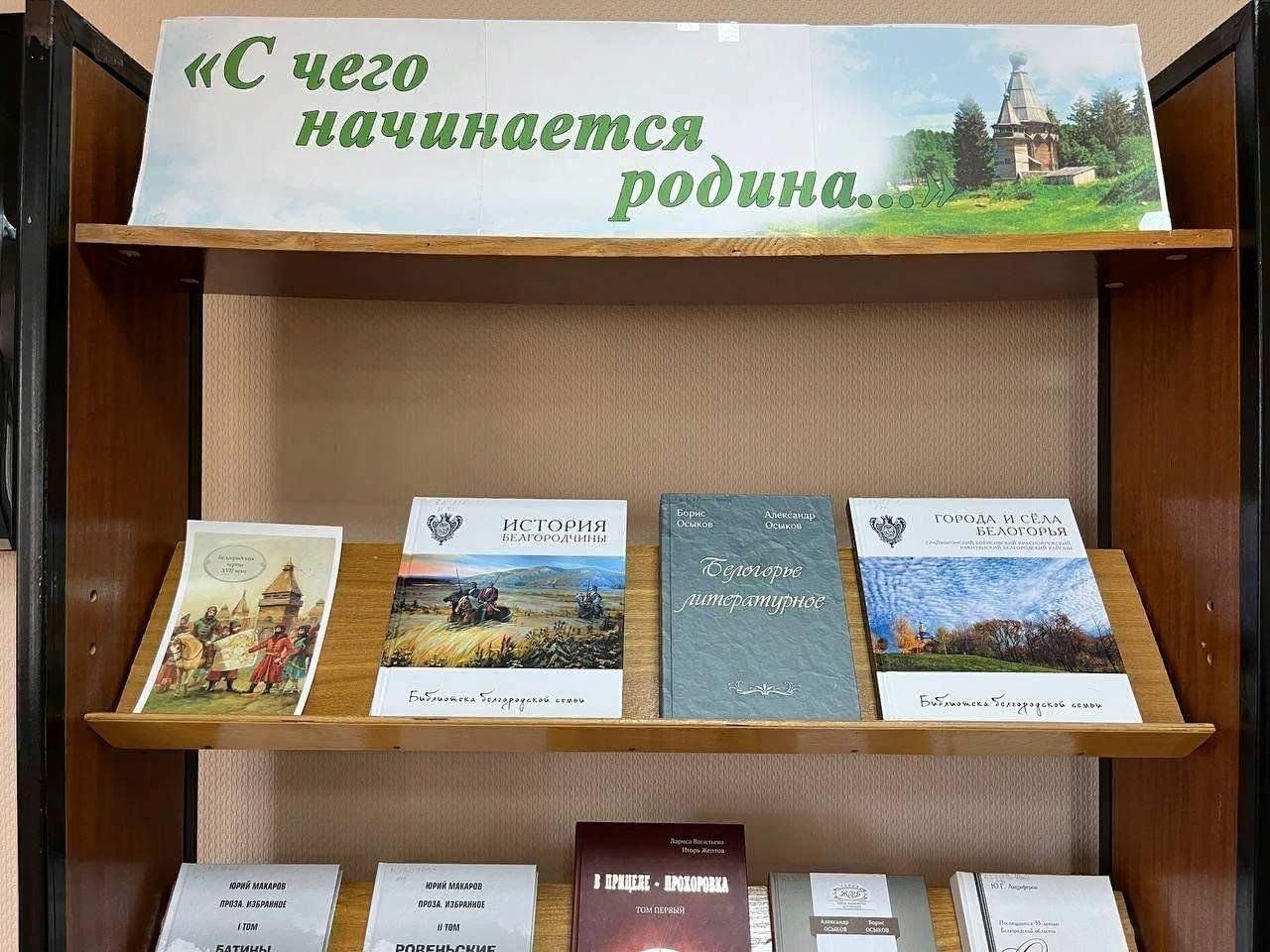 Книжная выставка. Выставка с чего начинается Родина. Книжная выставка здесь Родины моей начало. Книжная выставка Россия Родина моя в библиотеке.