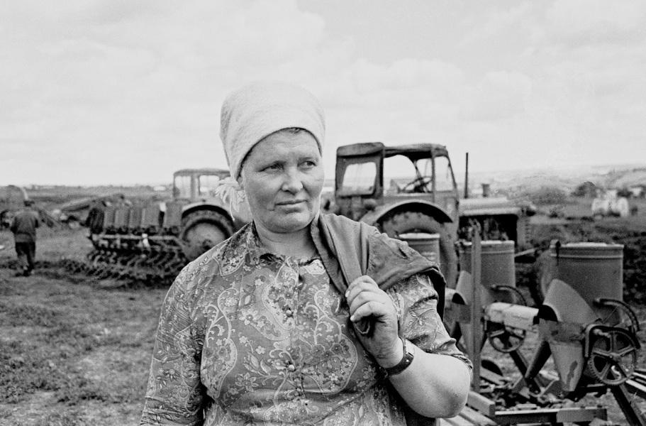 Комбайнеры доярка. Трактористка. Трактористка Ударница. Люди труда.