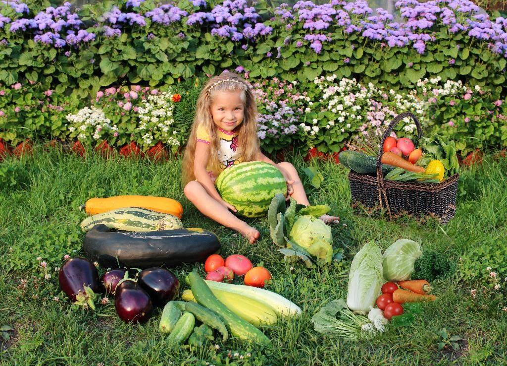 Фруктовая дачи. Огород урожай. Овощи на огороде. Овощи и фрукты с огорода. Сад с фруктами и овощами.