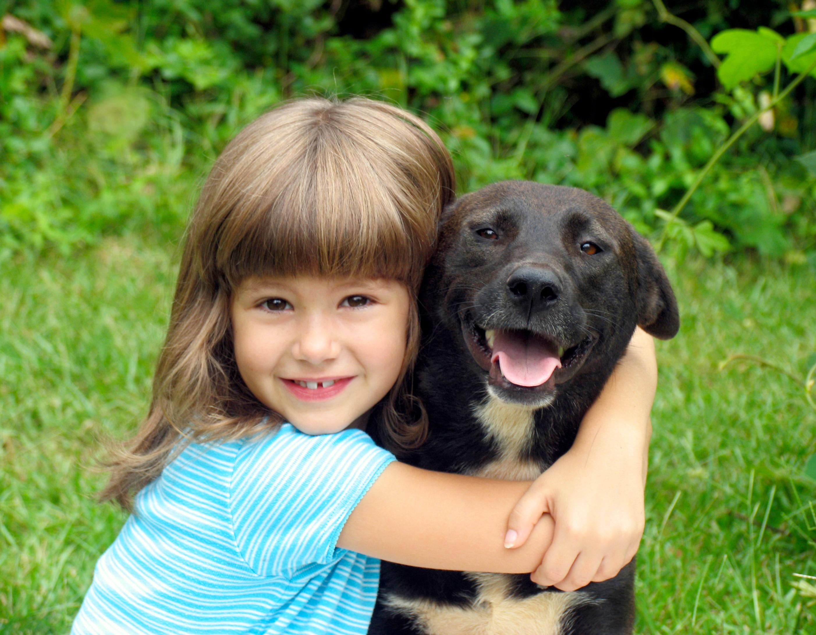 Hers dog. Собака для детей. Девочка с собакой. Домашние животные для детей. Собаки для семьи с детьми.