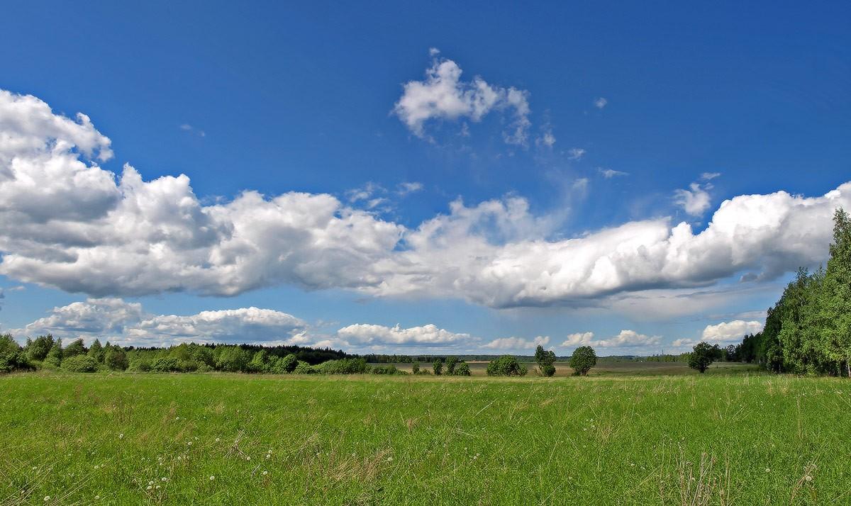 Село родное край родной. Край любимый край родной. Просторы малой Родины. Край родной навек любимый. Наш родной край.