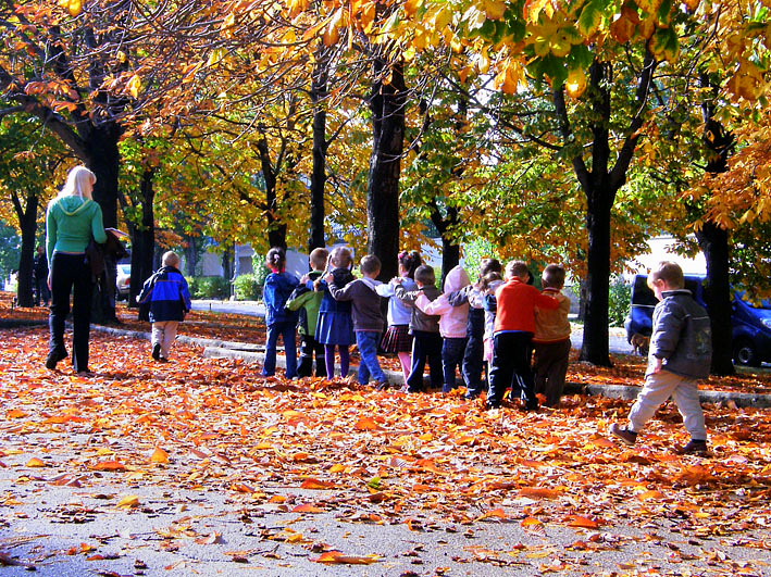 Прогулки детям экскурсии. Осенняя прогулка в детском саду. Экскурсия в осенний парк. Экскурсия в парк с детьми. Прогулка в осеннем парке.