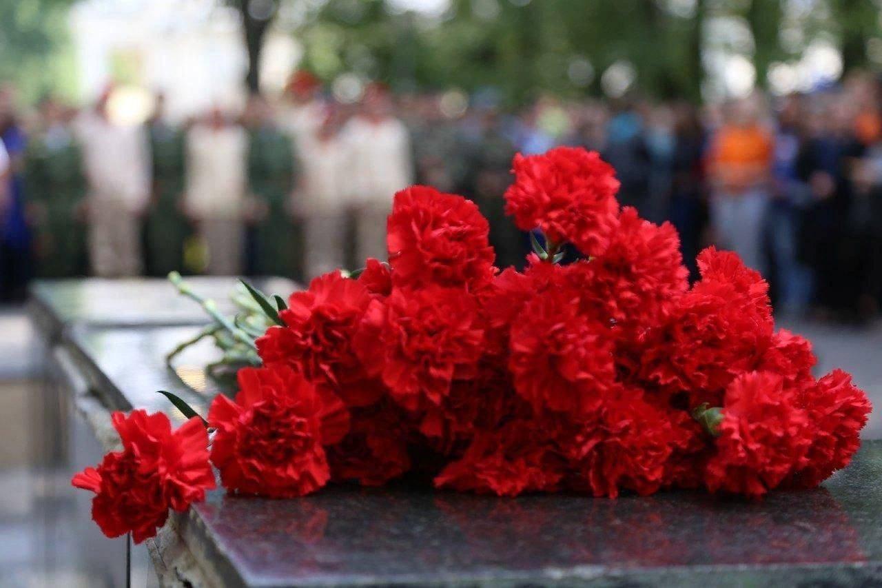 Цветок крокус в память о жертвах теракта. Цветы памяти. Памяти жертв терроризма.