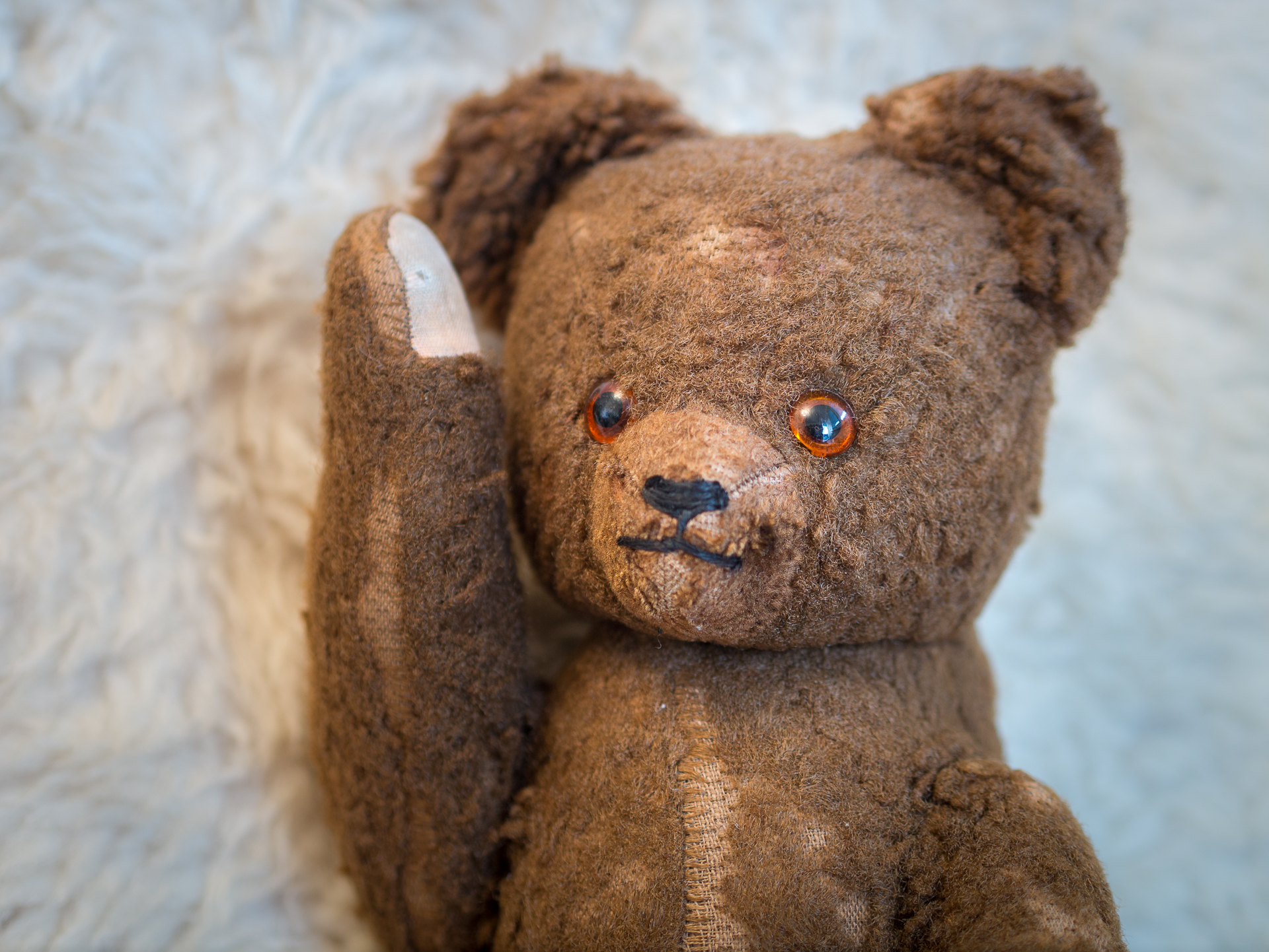 Истории тедди. Мишка Тедди Беар коричневый. Первый Медвежонок Тедди. Тедди Лоренс. Мишка Тедди 1902.
