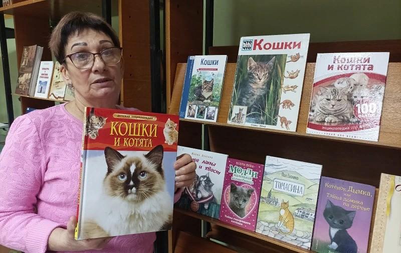 Выставка кошек в ростове на дону 2024. Кошки с книжной обложки книжная выставка. Детская книжная выставка. Книжная выставка про кошек. Выставка о кошках в библиотеке название.