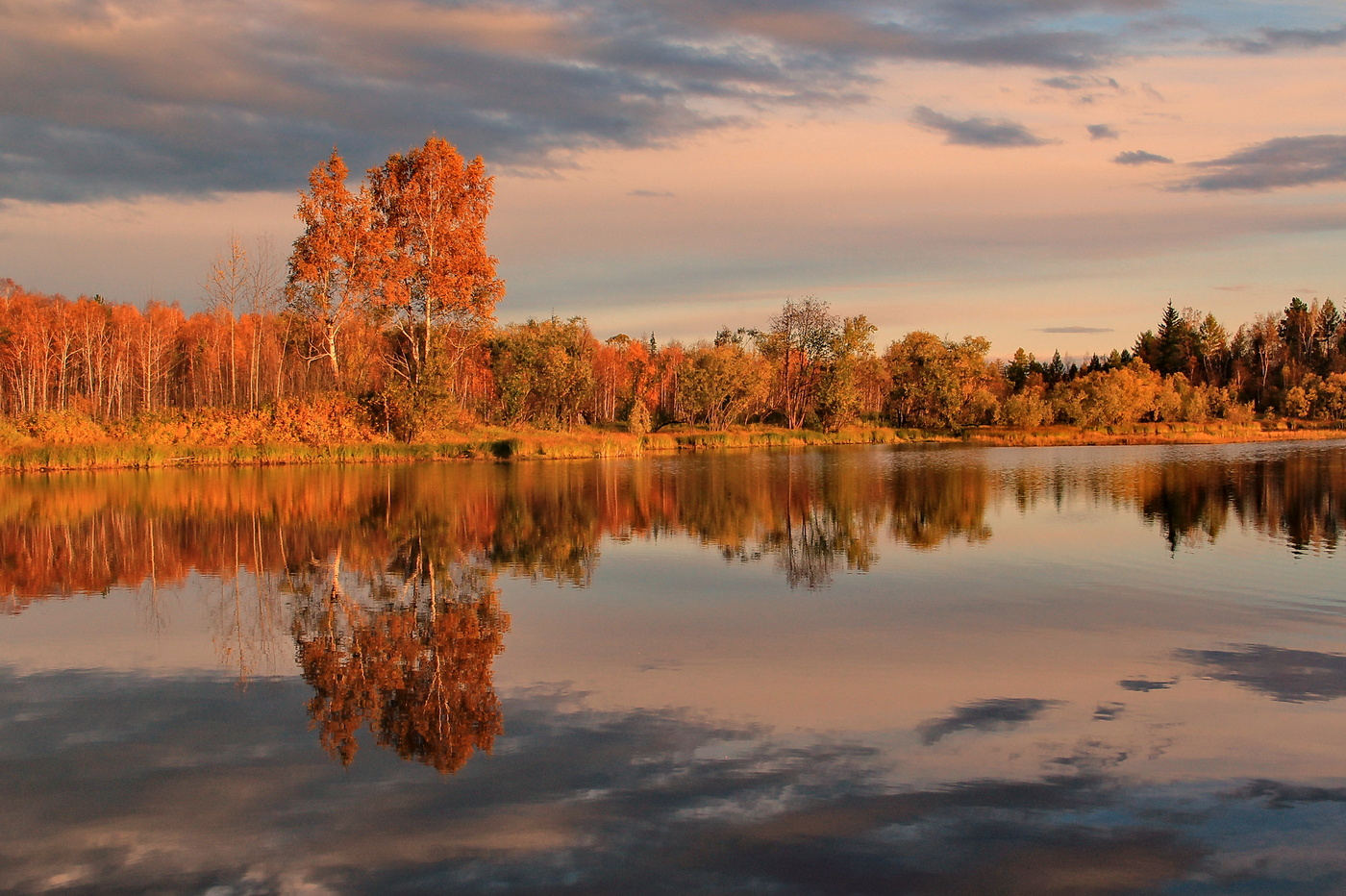 Мотив природы. Осенний мотив. Осенние мотивы картинки. Осенние деньки фото. Осенние мотивы на фотографиях.