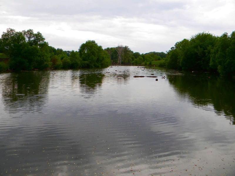 Село холодное. Прелестное Белгородская область. Село Холодное Прохоровского района Белгородской области. Прелестное Прохоровский район. Пруды в Прохоровском районе.