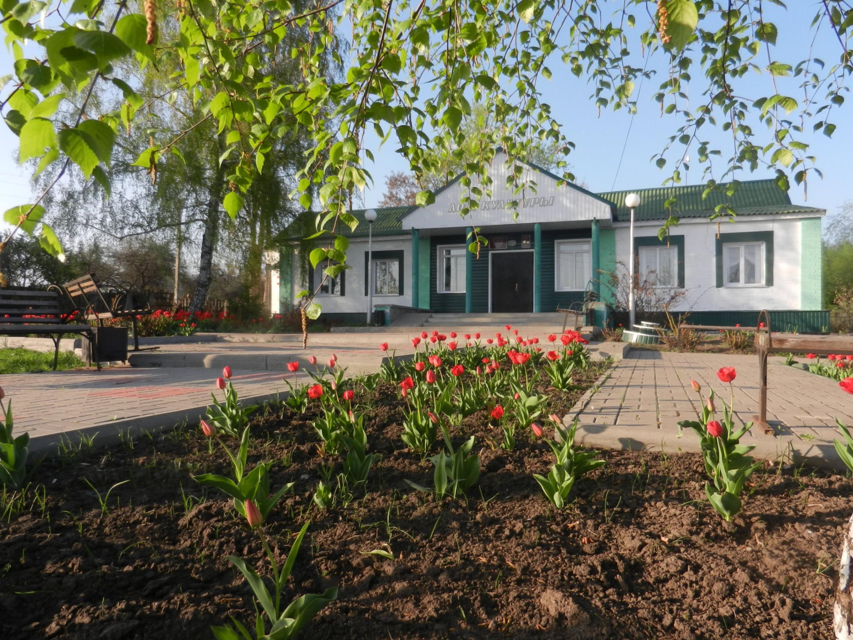 Басовский сельский клуб. Адрес — Белгородская обл., Валуйский р-н, с.  Басово, ул. Центральная, д. 21. Фото, режим работы, афиша и события.  Культурный регион