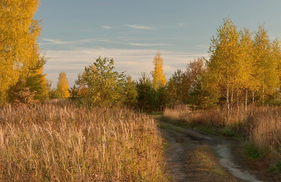 Природа любительские. Реальная осень в России. Фотоконкурс осень. Любительские снимки осень. Осень фото любительские.